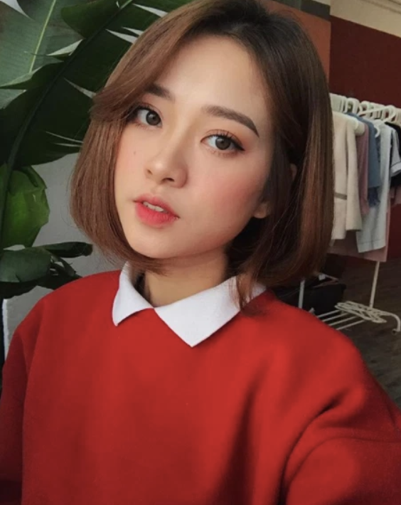 Tiểu sử Hoàng Mai Anh gần đây